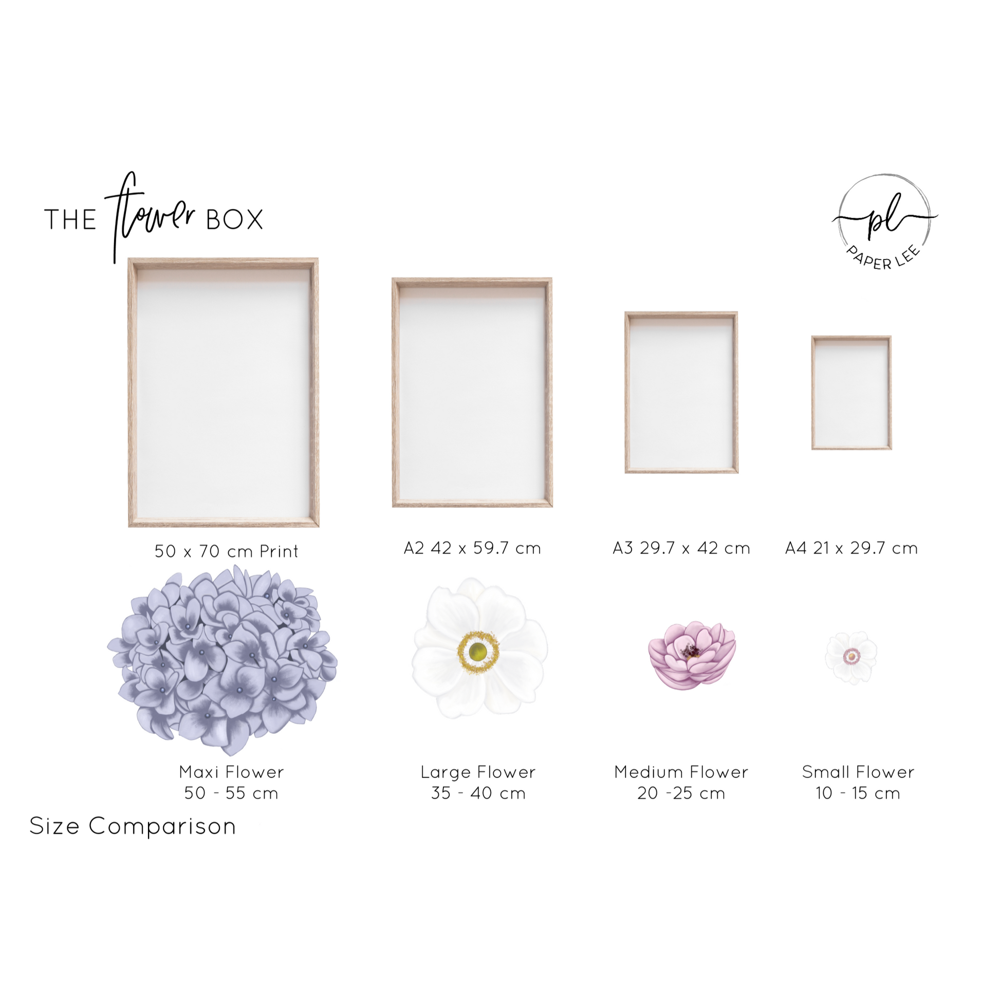 The Flower Box Decals Sets - Bordeaux - Isla Dream Prints